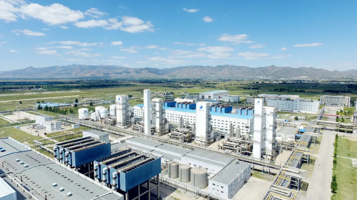 High Purity Gas System